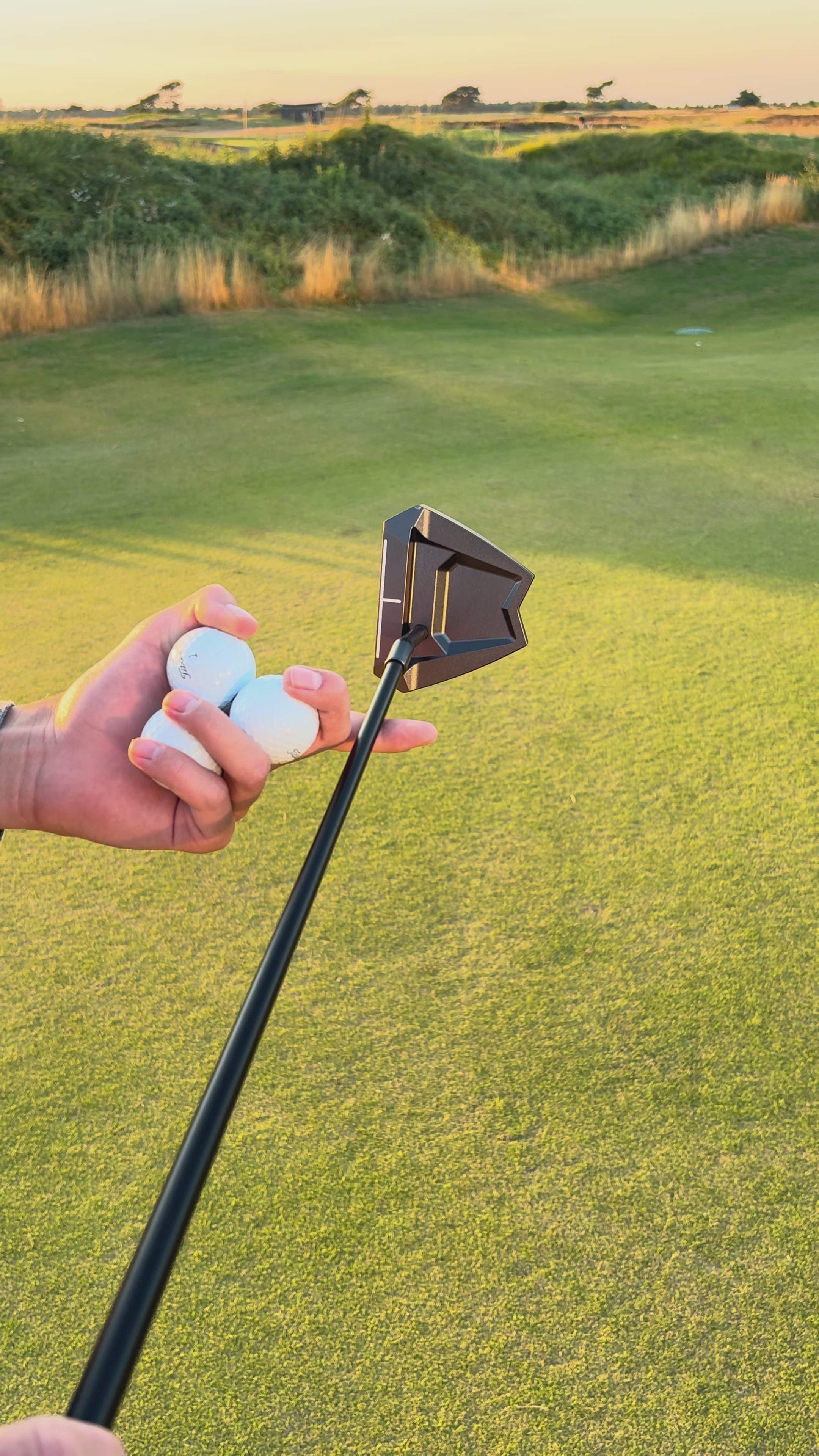 NV-1 Zero Torque Putter